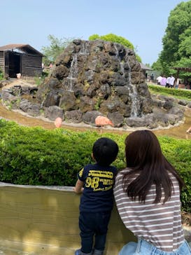 群馬サファリパークに投稿された画像（2021/5/4）