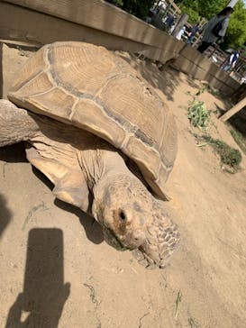 群馬サファリパークに投稿された画像（2021/5/4）