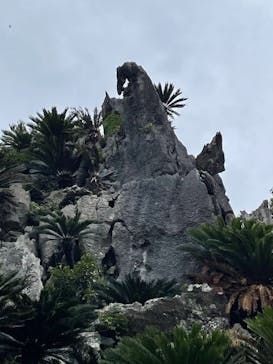 アスムイハイクスに投稿された画像（2021/5/4）