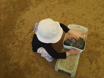 成田ゆめ牧場に投稿された画像（2021/5/4）