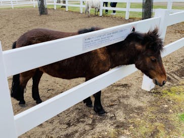 ノーザンホースパークに投稿された画像（2021/5/4）