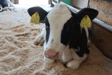 成田ゆめ牧場に投稿された画像（2021/5/4）