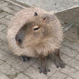 長崎バイオパークに投稿された画像（2021/5/4）