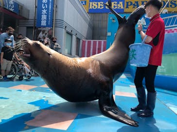 ゼロ距離水族館 伊勢シーパラダイスに投稿された画像（2021/5/4）