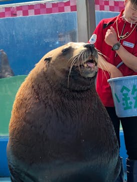 ゼロ距離水族館 伊勢シーパラダイスに投稿された画像（2021/5/4）