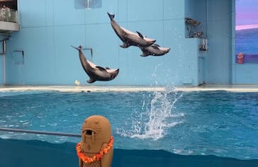 横浜・八景島シーパラダイスに投稿された画像（2021/5/4）