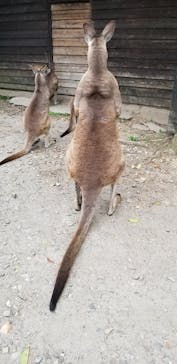 長崎バイオパークに投稿された画像（2021/5/4）