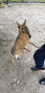 長崎バイオパークに投稿された画像（2021/5/4）