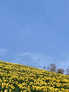 びわ湖バレイに投稿された画像（2021/5/4）