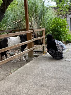長崎バイオパークに投稿された画像（2021/5/4）