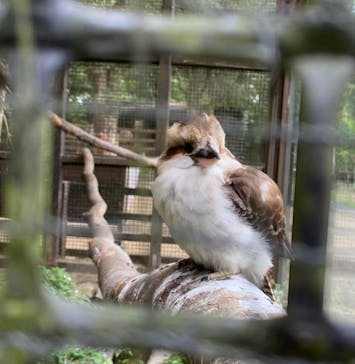 長崎バイオパークに投稿された画像（2021/5/4）