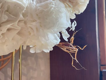 アトリエひわだやに投稿された画像（2021/5/4）