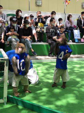 おさるランド＆アニタウン　日光さる軍団劇場に投稿された画像（2021/5/4）