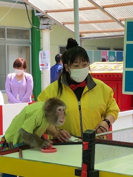 おさるランド＆アニタウン　日光さる軍団劇場に投稿された画像（2021/5/4）