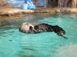 マリンワールド海の中道に投稿された画像（2021/5/4）