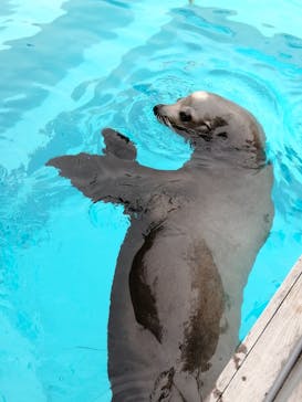 マリンワールド海の中道に投稿された画像（2021/5/4）