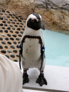 マリンワールド海の中道に投稿された画像（2021/5/4）