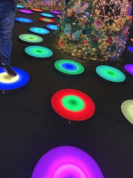 那須高原りんどう湖ファミリー牧場に投稿された画像（2021/5/4）