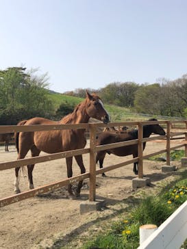 那須どうぶつ王国に投稿された画像（2021/5/4）