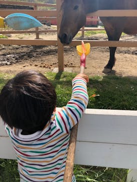 那須どうぶつ王国に投稿された画像（2021/5/4）