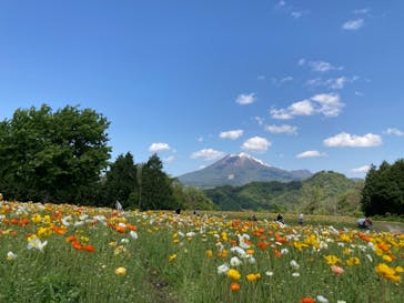 とっとり花回廊に投稿された画像（2021/5/4）
