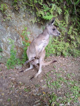 長崎バイオパークに投稿された画像（2021/5/4）