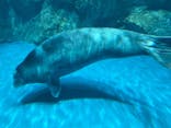 大分マリーンパレス水族館 「うみたまご」に投稿された画像（2021/5/4）