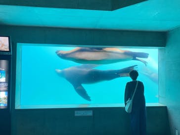 大分マリーンパレス水族館 「うみたまご」に投稿された画像（2021/5/4）