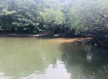 西表島 ADVENTURE PiPi（アドベンチャーピピ）に投稿された画像（2021/5/4）