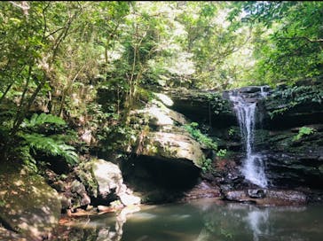 西表島 ADVENTURE PiPi（アドベンチャーピピ）に投稿された画像（2021/5/4）