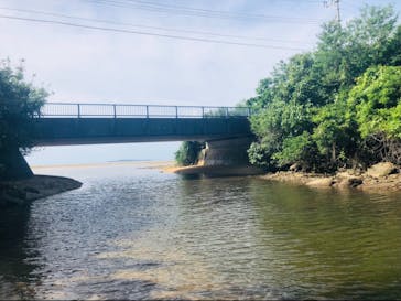 西表島 ADVENTURE PiPi（アドベンチャーピピ）に投稿された画像（2021/5/4）