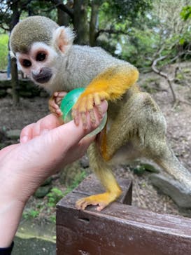 長崎バイオパークに投稿された画像（2021/5/4）