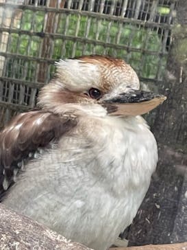 長崎バイオパークに投稿された画像（2021/5/4）