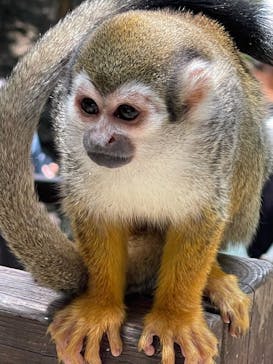 長崎バイオパークに投稿された画像（2021/5/4）