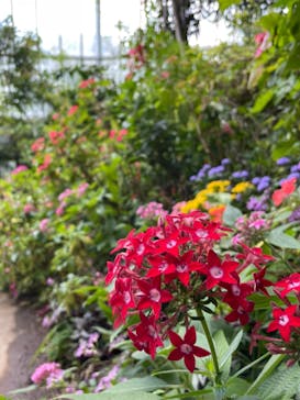 長崎バイオパークに投稿された画像（2021/5/4）