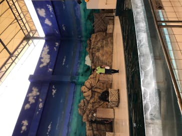 鳥羽水族館に投稿された画像（2021/5/4）