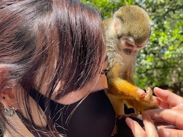 長崎バイオパークに投稿された画像（2021/5/4）