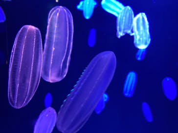 マリンワールド海の中道に投稿された画像（2021/5/4）