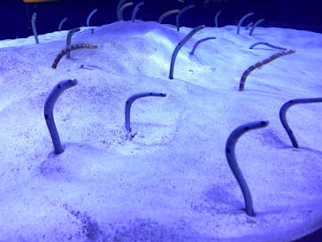 マリンワールド海の中道に投稿された画像（2021/5/4）