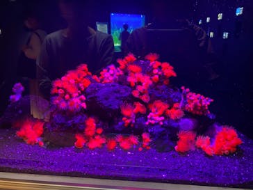 マリンワールド海の中道に投稿された画像（2021/5/4）