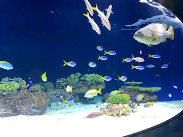 マリンワールド海の中道に投稿された画像（2021/5/4）