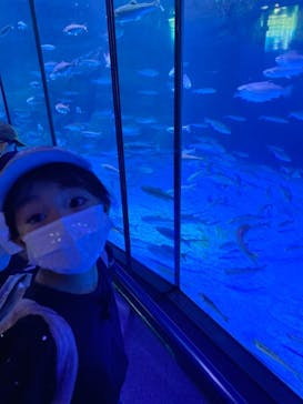 横浜・八景島シーパラダイスに投稿された画像（2021/5/4）