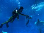 アクアワールド茨城県大洗水族館に投稿された画像（2021/5/4）