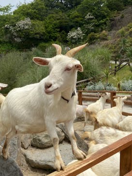 長崎バイオパークに投稿された画像（2021/5/4）