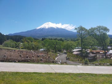 まかいの牧場に投稿された画像（2021/5/4）