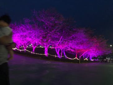 グリーンランドに投稿された画像（2021/5/4）