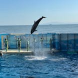 新江ノ島水族館に投稿された画像（2021/5/5）