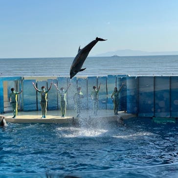 新江ノ島水族館に投稿された画像（2021/5/4）