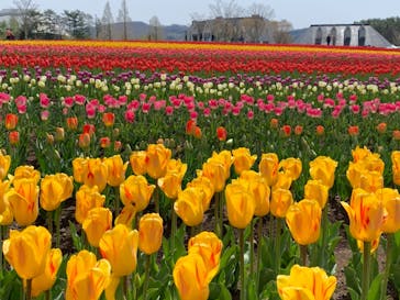 牧歌の里に投稿された画像（2021/5/4）