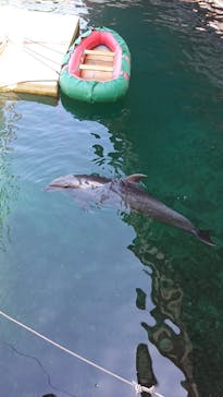 伊豆・三津シーパラダイスに投稿された画像（2021/5/4）